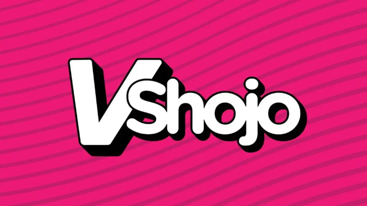 VShojo Co-Founder Leaves VTuber Company VShojo Director of Talent Departed the Vtuber Company